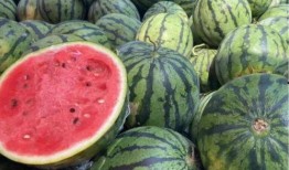 网红大瓜下载 52爆料吃瓜网,52爆料吃瓜网独家爆料，带你领略娱乐圈风云变幻